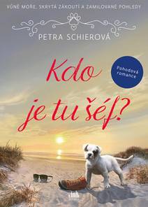 Obálka Kdo je tu šéf?