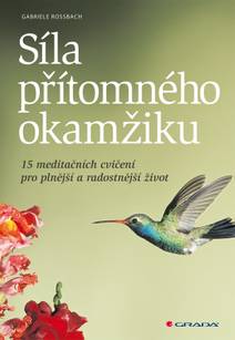Obálka Síla přítomného okamžiku