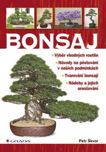 Obálka Bonsaj