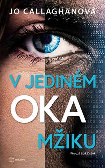Obálka V jediném okamžiku
