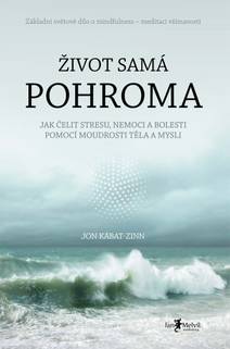 Obálka Život samá pohroma