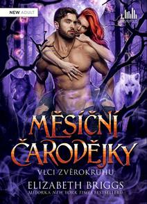 Obálka Měsíční čarodějky