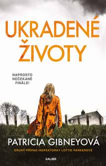 Obálka Ukradené životy