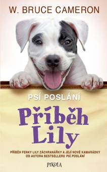 Obálka Příběh Lily