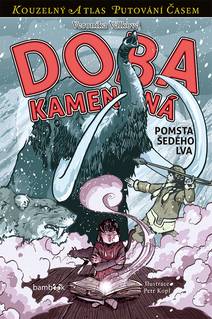 Obálka Doba kamenná