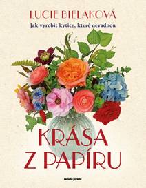 Obálka Krása z papíru