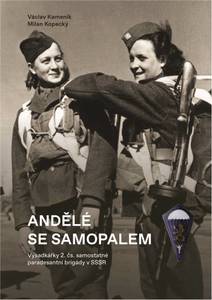 Obálka Andělé se samopalem