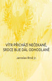 Obálka Vítr přichází nečekaně, srdce bije dál odhodlaně