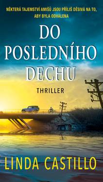 Obálka Do posledního dechu