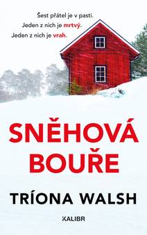 Obálka Sněhová bouře