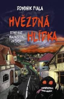 Obálka Stíny nad Malinovým vrchem: Hvězdná hlídka