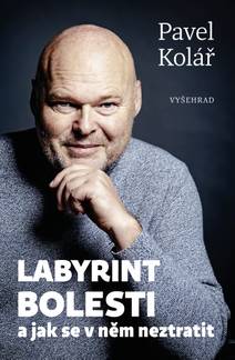 Obálka Labyrint bolesti