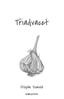 Obálka Třiadvacet