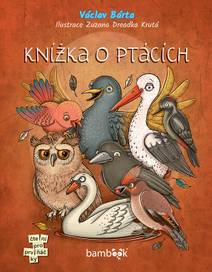 Obálka Knížka o ptácích