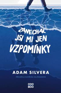 Obálka Zanechal jsi mi jen vzpomínky