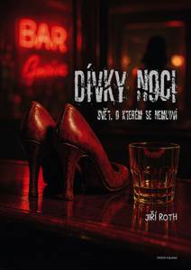 Obálka Dívky noci - svět, o kterém se nemluví