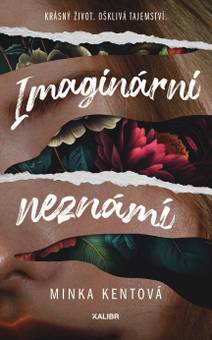 Obálka Imaginární neznámí