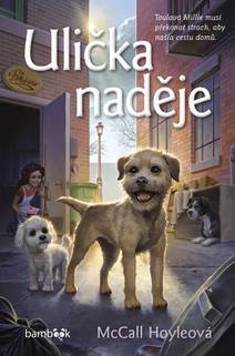 Obálka Ulička naděje