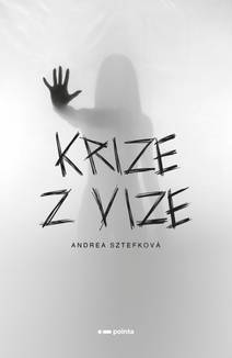 Obálka Krize z vize