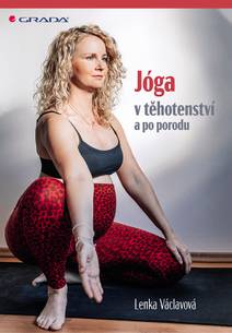 Obálka Jóga v těhotenství a po porodu