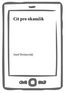 Obálka Cit pro okamžik