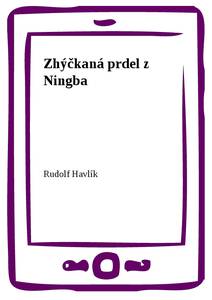 Obálka Zhýčkaná prdel z Ningba
