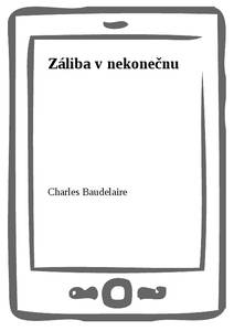 Obálka Záliba v nekonečnu