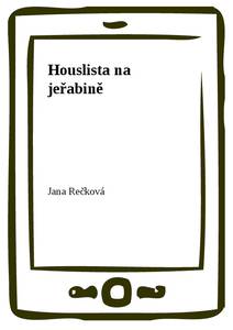 Obálka Houslista na jeřabině
