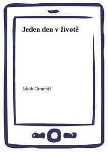Obálka Jeden den v životě