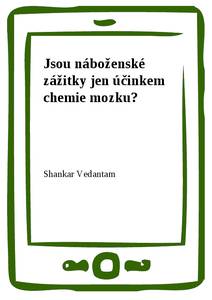 Obálka Jsou náboženské zážitky jen účinkem chemie mozku?