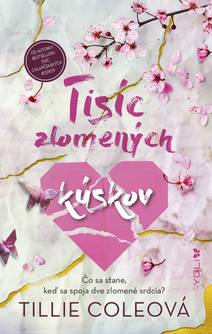 Obálka Tisíc zlomených kúskov