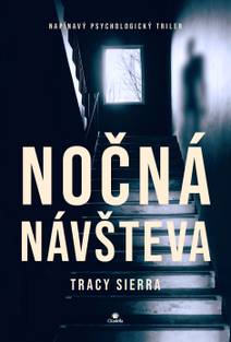 Obálka Nočná návšteva
