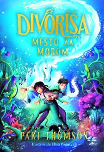 Obálka Divoríša: Mesto za morom