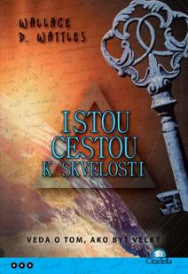 Obálka Istou cestou k skvelosti