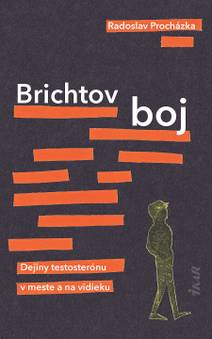 Obálka Brichtov boj