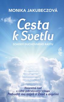 Obálka Cesta k svetlu