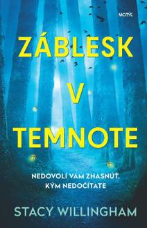 Obálka Záblesk v temnote