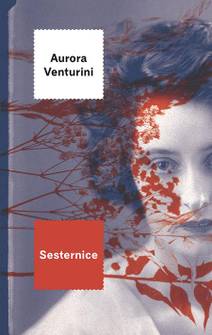 Obálka Sesternice