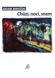 Obálka Chůzí, nocí, snem
