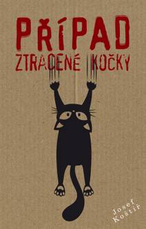 Obálka Případ ztracené kočky