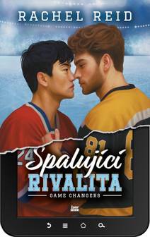 Obálka Spalující rivalita
