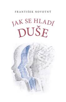 Obálka Jak se hladí duše