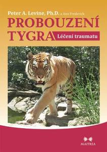 Obálka Probouzení tygra