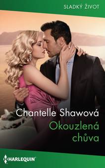 Obálka Okouzlená chůva