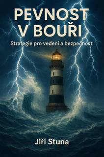 Obálka Pevnost v bouři: Strategie pro vedení a bezpečnost
