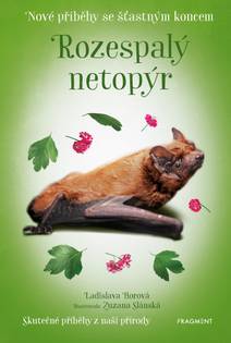 Obálka Nové příběhy se šťastným koncem – Rozespalý netopýr