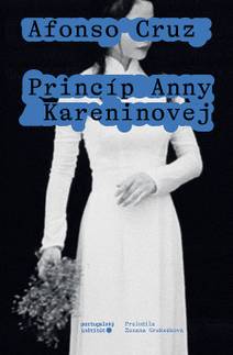 Obálka Princíp Anny Kareninovej