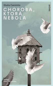 Obálka Choroba, ktorá nebola