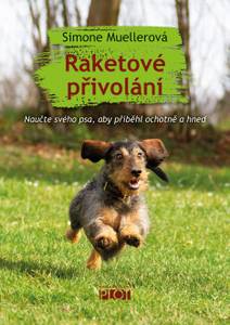 Obálka Raketové přivolání