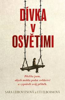 Obálka Dívka v Osvětimi